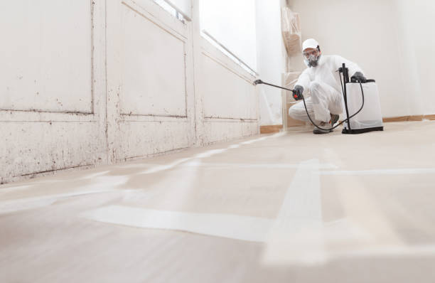 24/7 Emergency Mold Removal experts in Columbus, MN