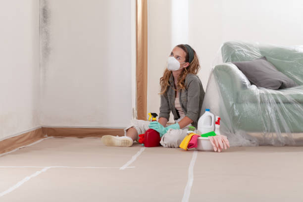 Reliable Mold Removal contractor in Columbus, MN by Car Mold Remediation